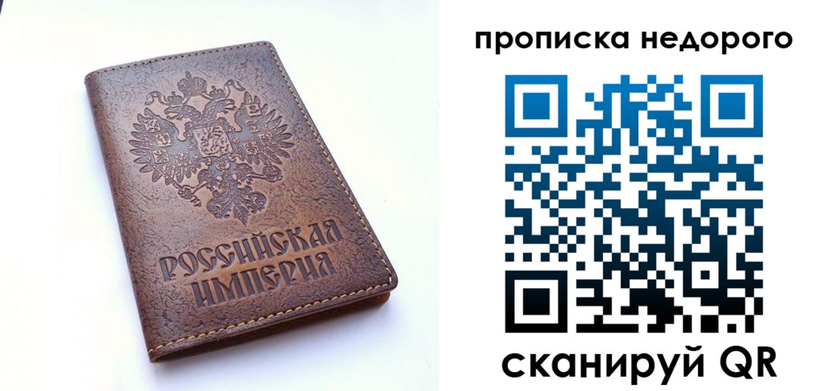 прописка поиск в Железногорске